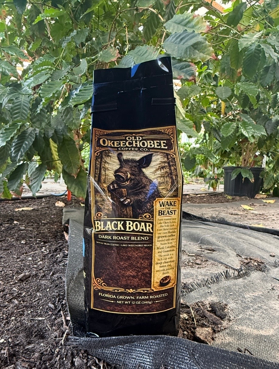 Black Boar