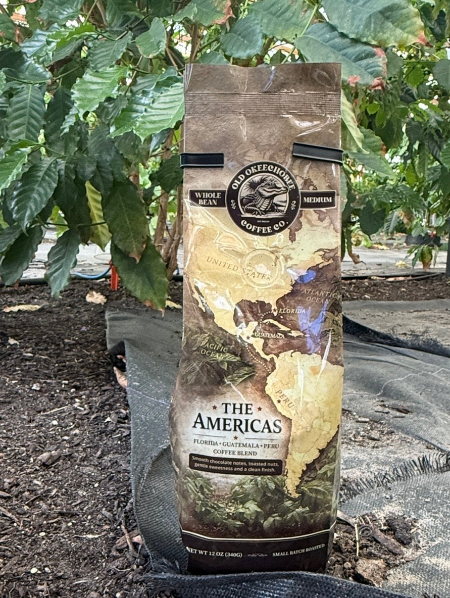 The Americas