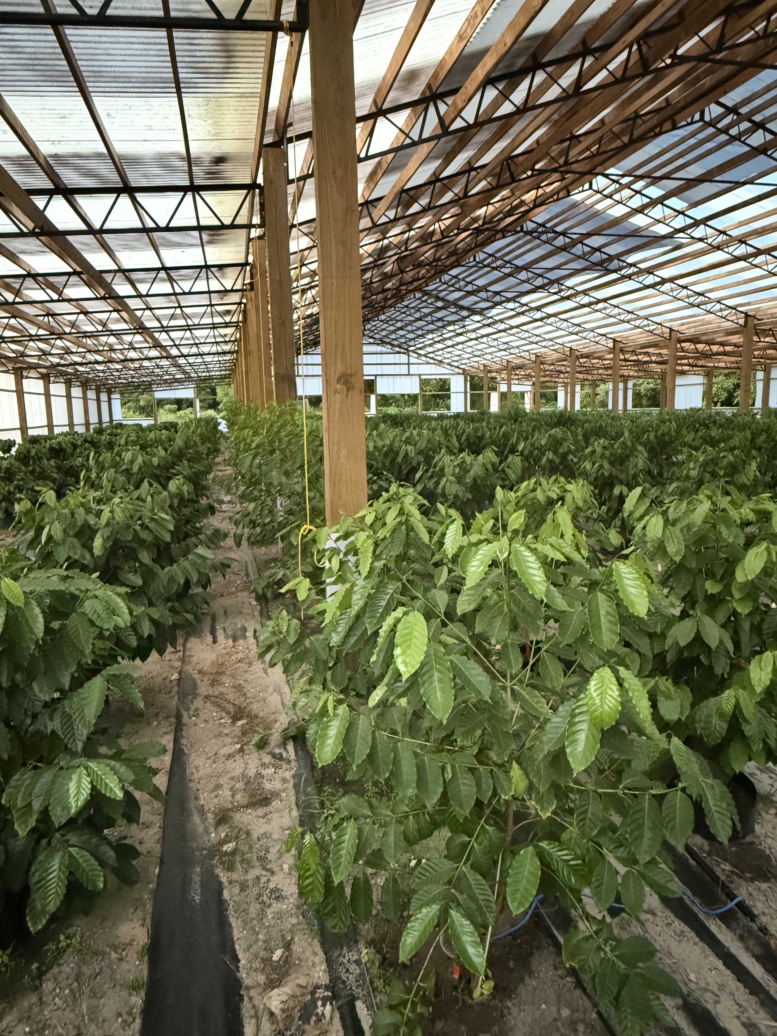 Florida / Colombia
