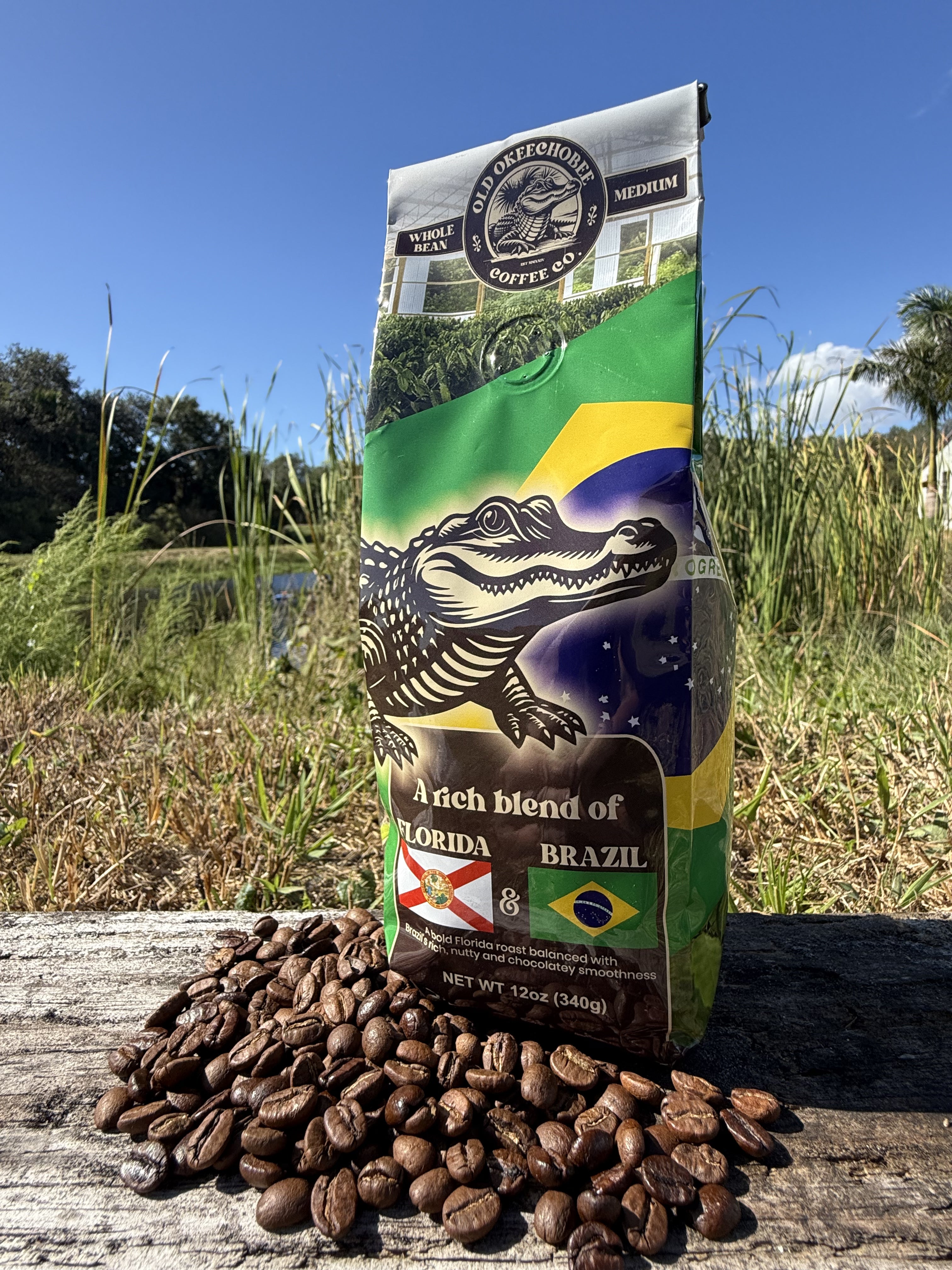 Florida / Brazil
