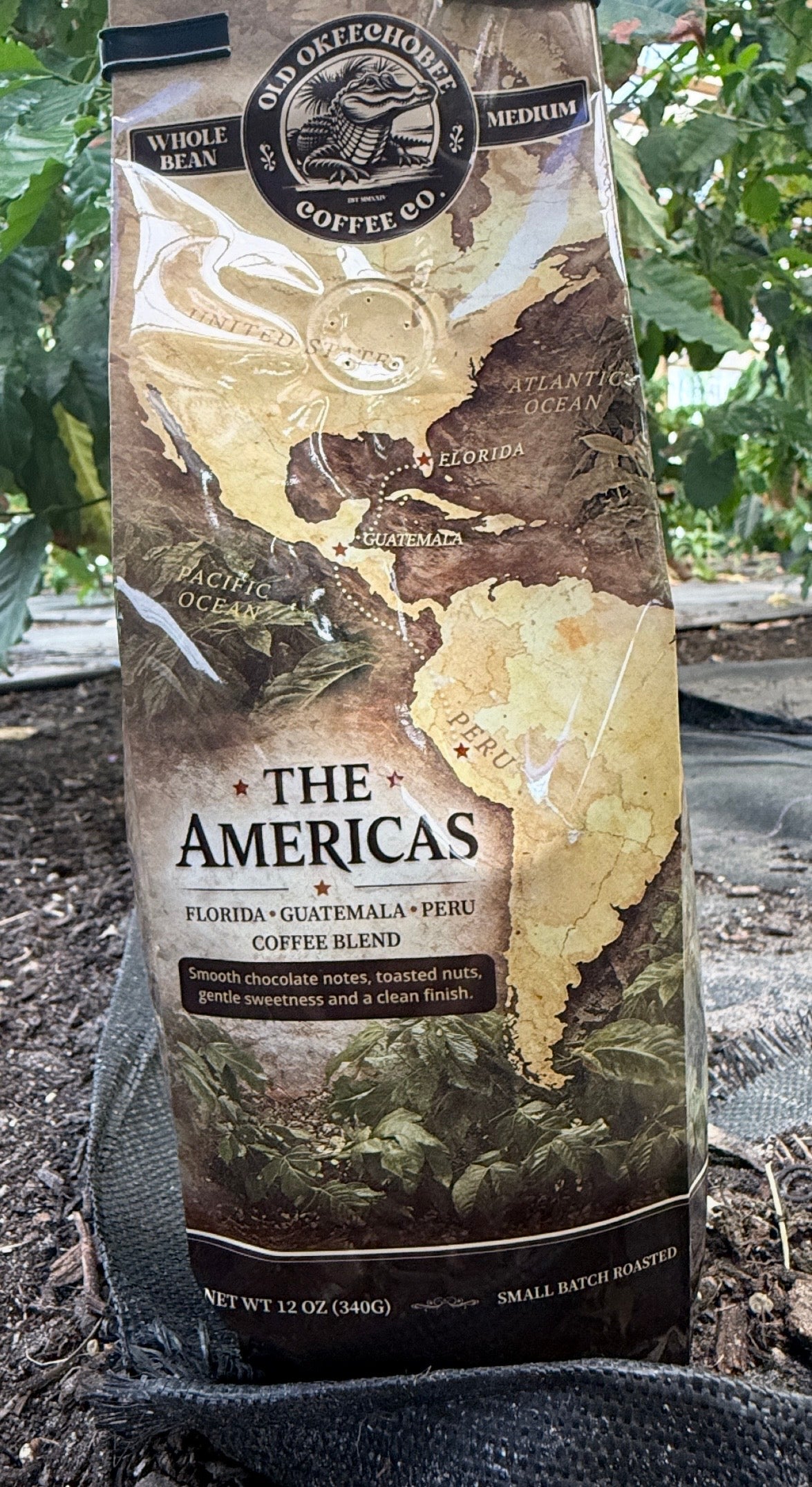 The Americas